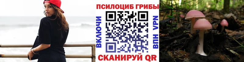 Псилоцибиновые грибы Psilocybine cubensis Вязьма