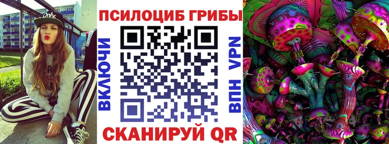 Псилоцибиновые грибы мухоморы  Купить закладки  Вязьма 