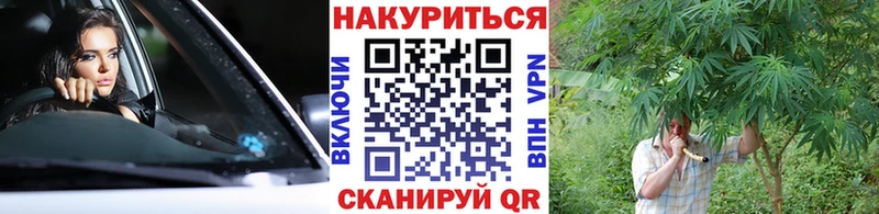 Канабис Bruce Banner  Купить закладки  Вязьма 